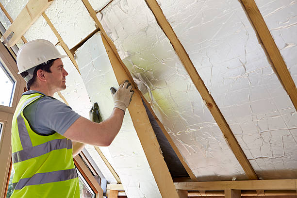 Best Spray Foam Insulation  in Estill, SC